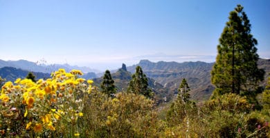 Walking in Gran Canaria made easy