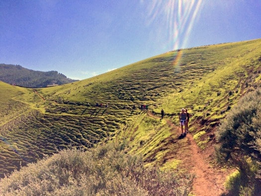The Gran Canaria Walking Festival features some top trails