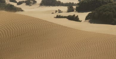 The Maspalomas dunes are one way you'll fall in love with Gran Canaria